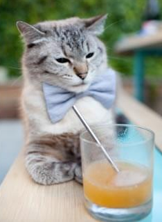 开云体育登录网站入口-“2025世界运动会：简阳文体中心羽毛球赛引发热烈关注”