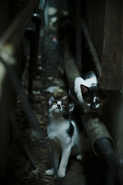 开云体育app网页版安全-印度队2024年世界杯：展现出色的集体协作精神，印度进世界杯了吗