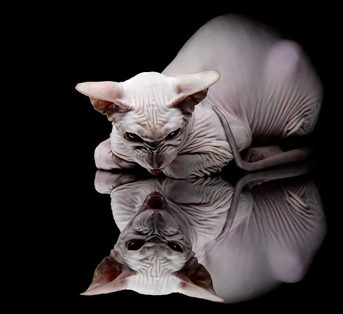 开云官网APP下载-新疆男篮强化精神层面建设提升团队凝聚力,新疆青年男子篮球队 第1张 开云官网APP下载-新疆男篮强化精神层面建设提升团队凝聚力,新疆青年男子篮球队 第1张