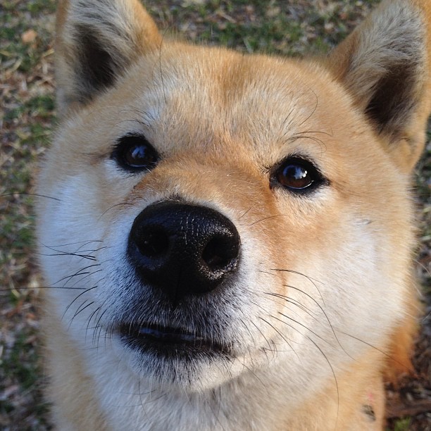 开云体育俱乐部官网-世界足球日主题活动各地火热展开，2020世界足球日主题