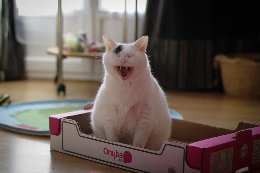 开云官方-中国篮球发展论坛在京召开聚焦青训与职业体系，中国篮球发展联盟比赛直播